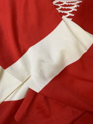 Vintage Detroit Red Wings CCM Jersey Size Medium NHL