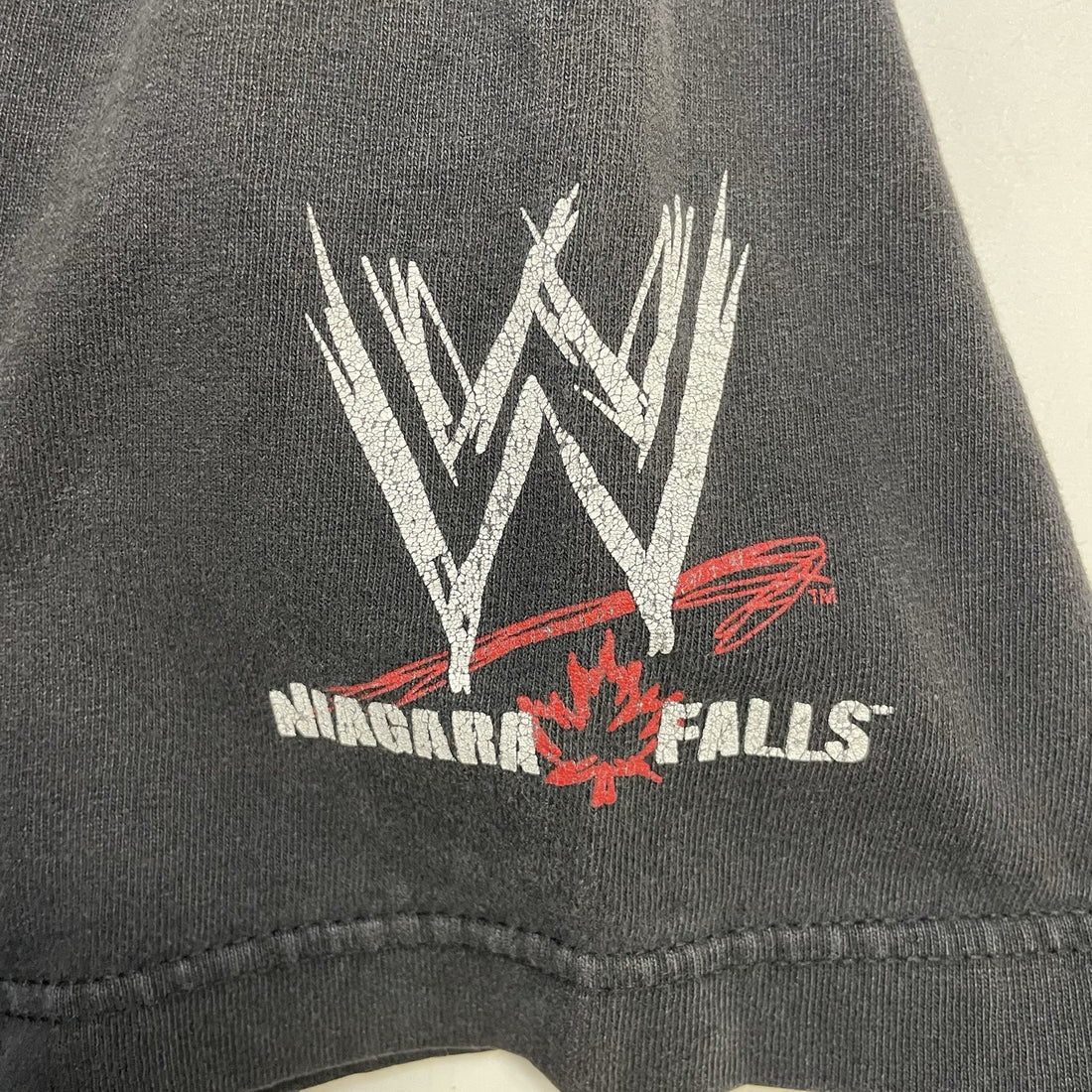 Vintage NWO Niagara Falls Wrestling T-Shirt Size Large 2002 WWE