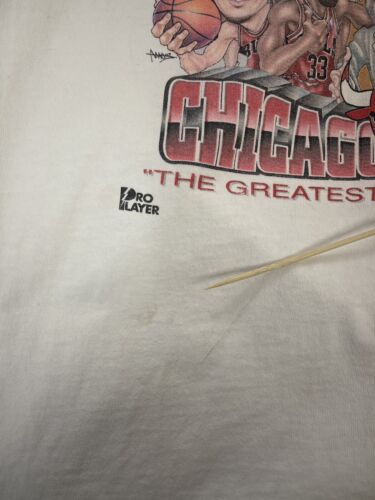 Vintage Chicago Bulls Champions Caricature T-Shirt Size 2XL 1996 90s NBA