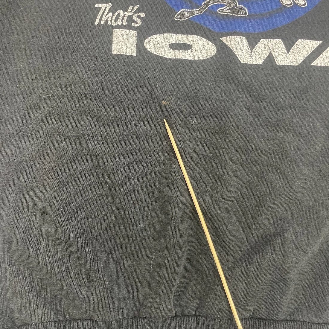 Vintage Looney Tunes IOWA Sweatshirt Crewneck Size XL Cartoon 1994 90s