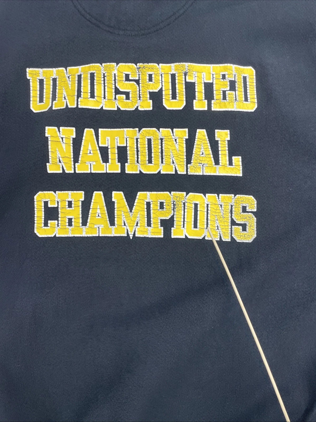 Vintage Apple Valley Wrestling Champion Reverse Weave Sweatshirt Size XL