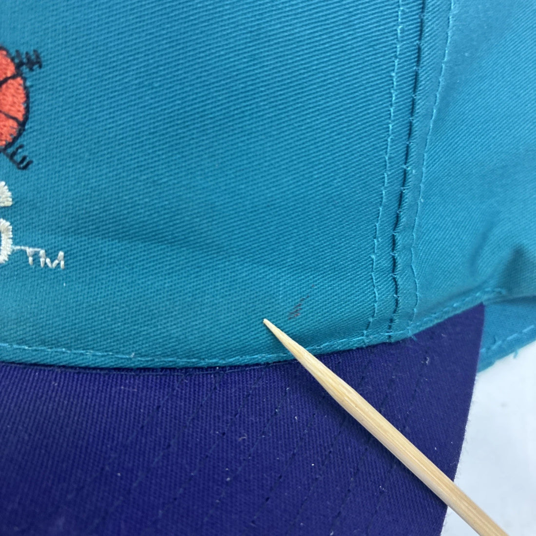 Vintage Charlotte Hornets Snapback Hat OSFA 90s NBA