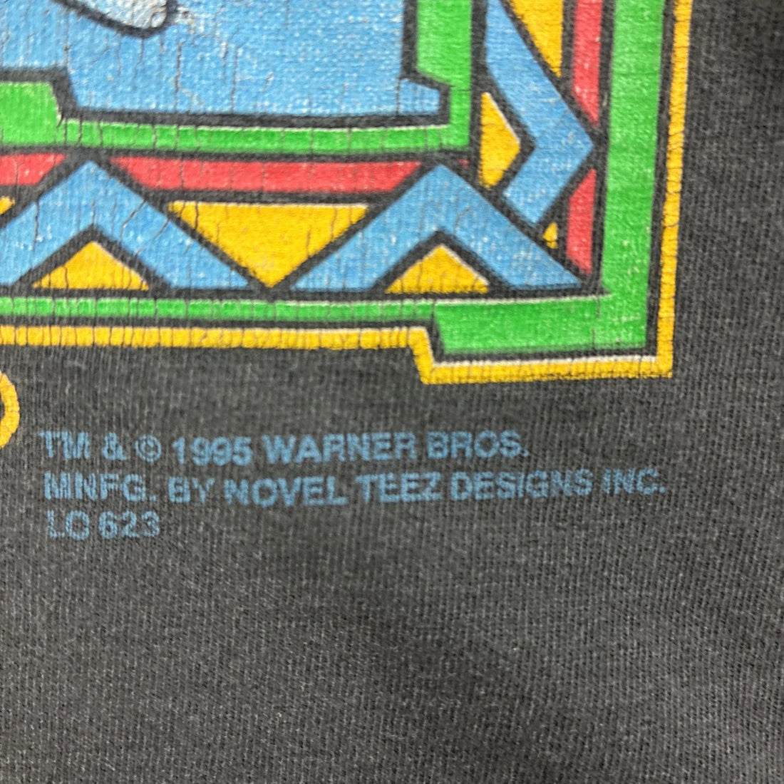 Vintage Taz Adventure Grand Canyon T-Shirt Size Large 1995 90s