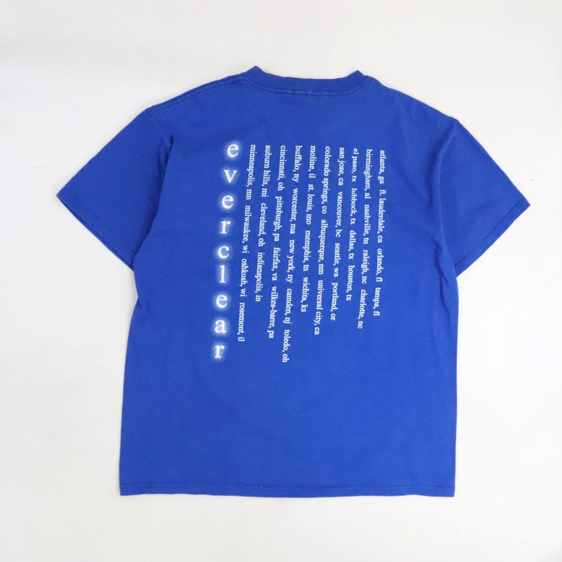 Vintage Everclear Tour T-Shirt Size Large Band Tee