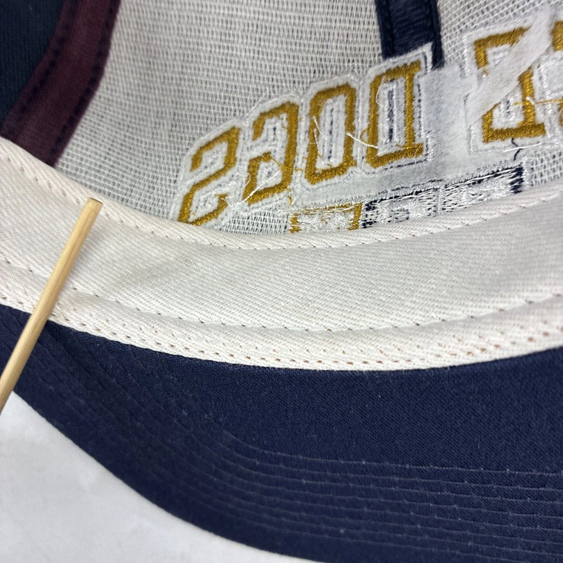 Vintage Long Beach Ice Dogs CCM Hockey Snapback Hat Cap OSFA IHL
