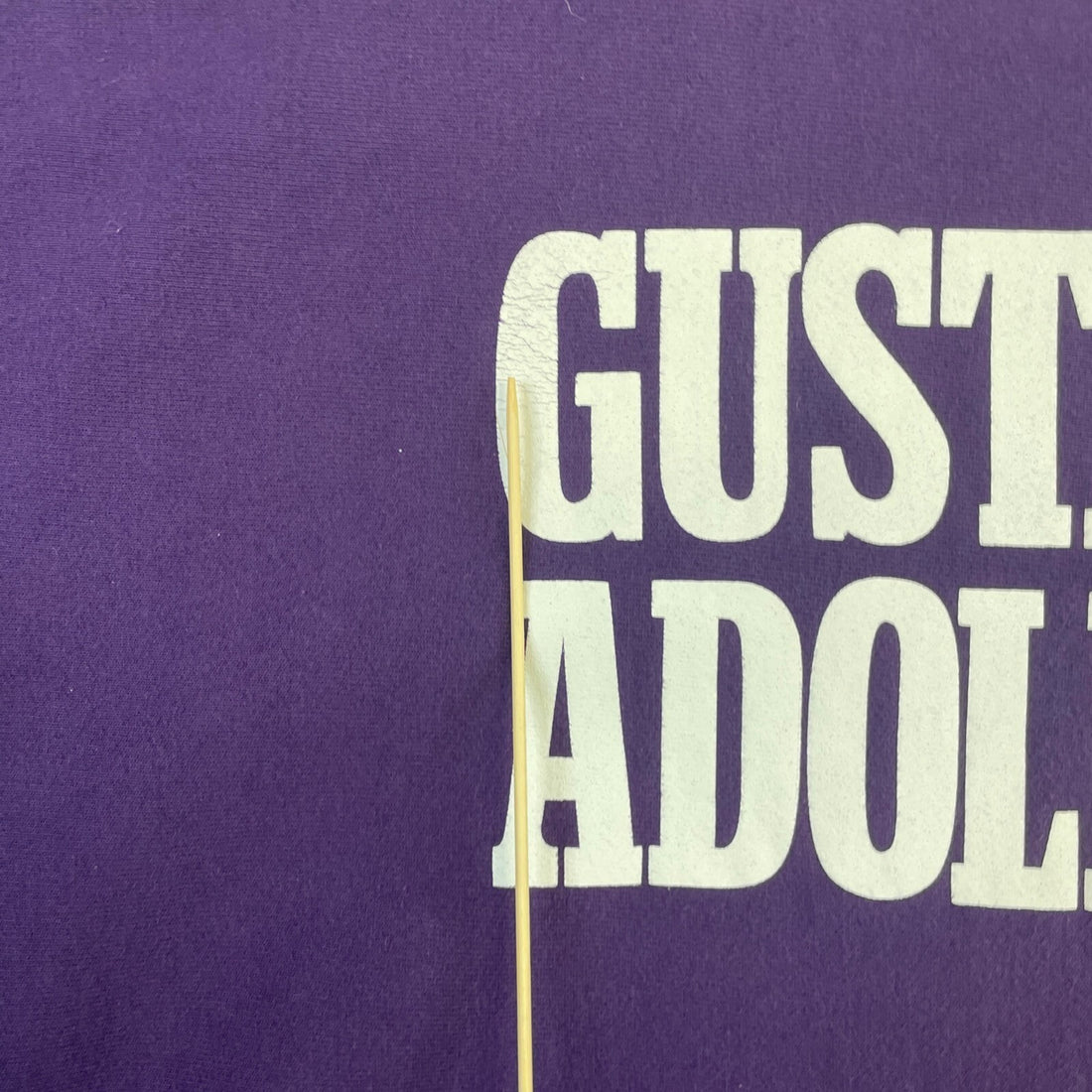 Vintage Gustavus Adolphus Champion Sweatshirt Size XL Purple 90s