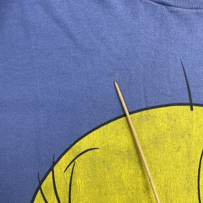 Vintage Tweety Bird Minnesota Looney Tunes T-Shirt Size XL Cartoon 90s