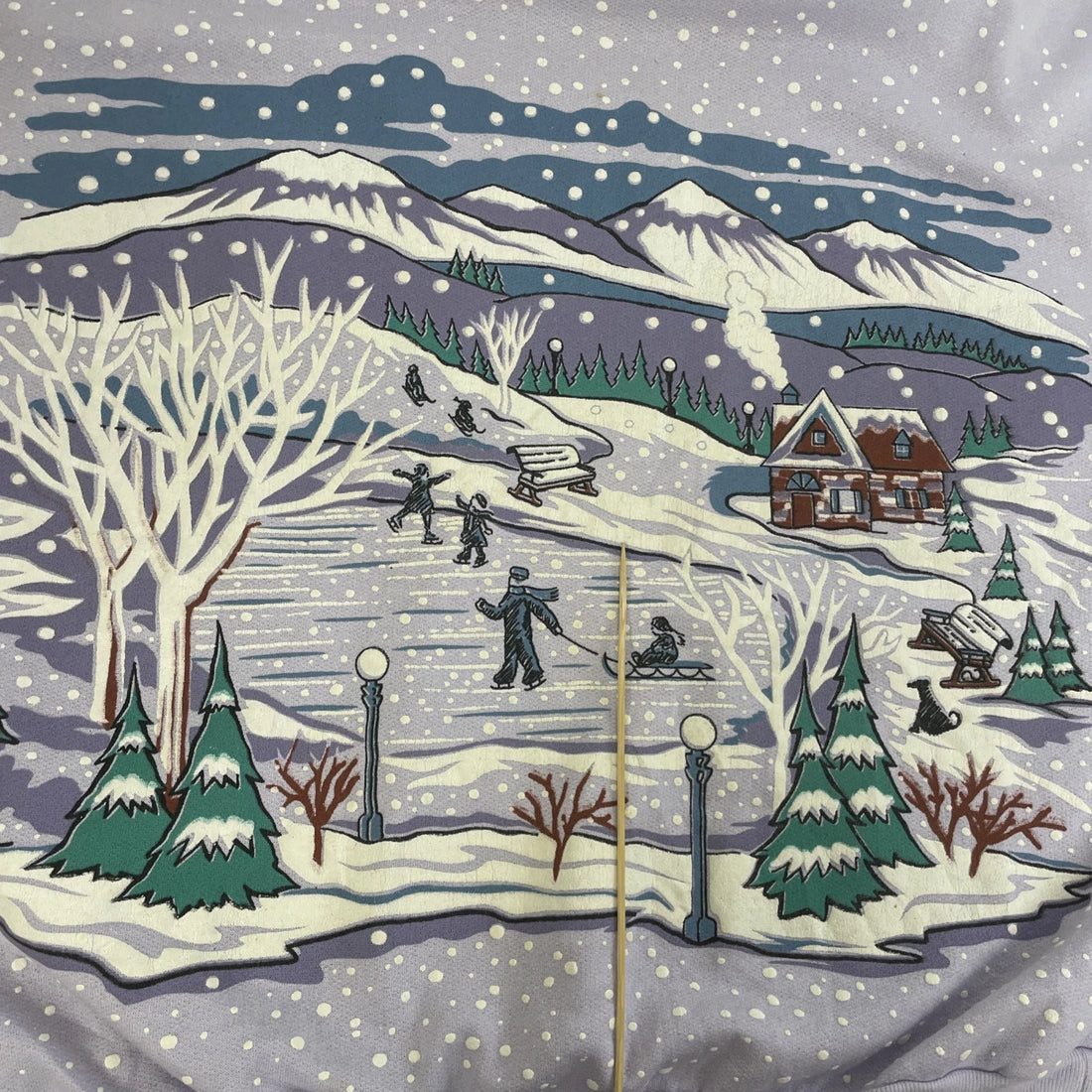 Vintage Winter Cabin Skate Crewneck Sweatshirt Medium Nature All Over Print