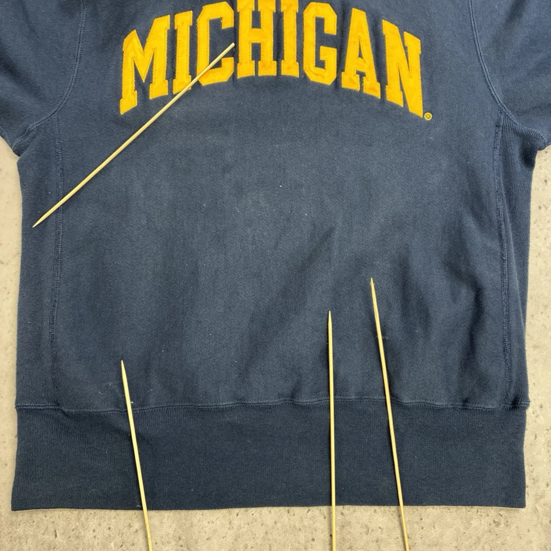 Vintage Michigan Champion Reverse Weave Crewneck Sweatshirt Size Large 90s