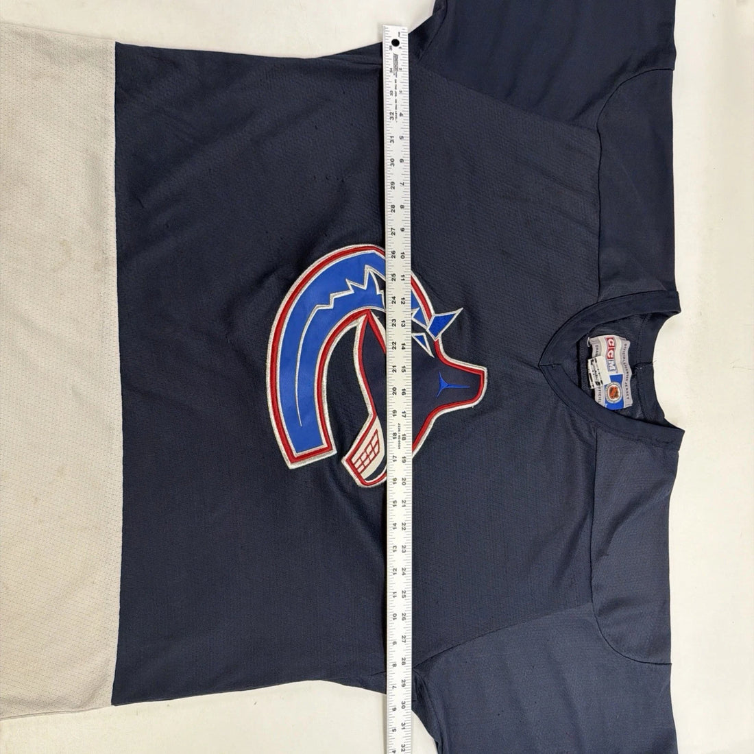 Vintage Vancouver Canucks Roberto Luongo CCM Jersey Size XL NHL