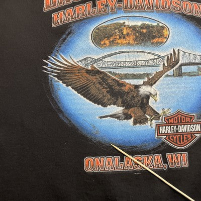 Harley Davidson Motorcycles Fire Eagle Sweatshirt Large Sleeve Spell Out
