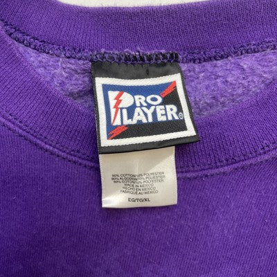 Vintage Minnesota Vikings Central Division Champions Sweatshirt XL 1998 90s NFL