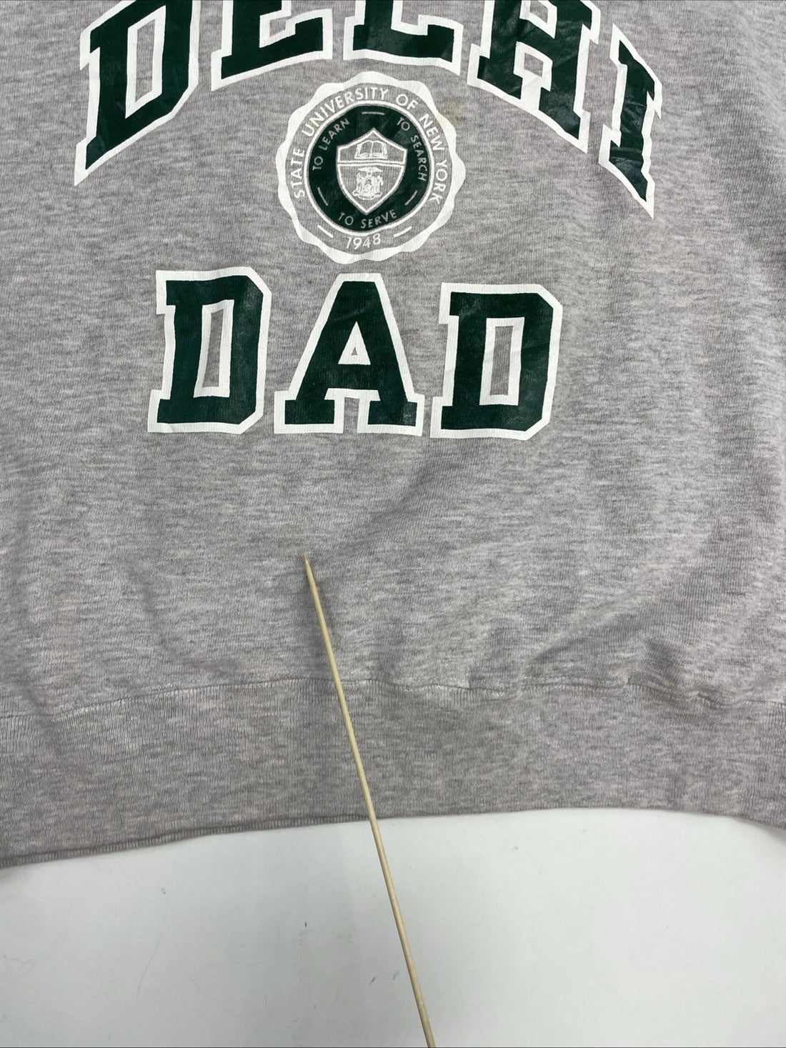 Vintage Delhi Dad Crest Champion Crewneck Sweatshirt Size XL 80s
