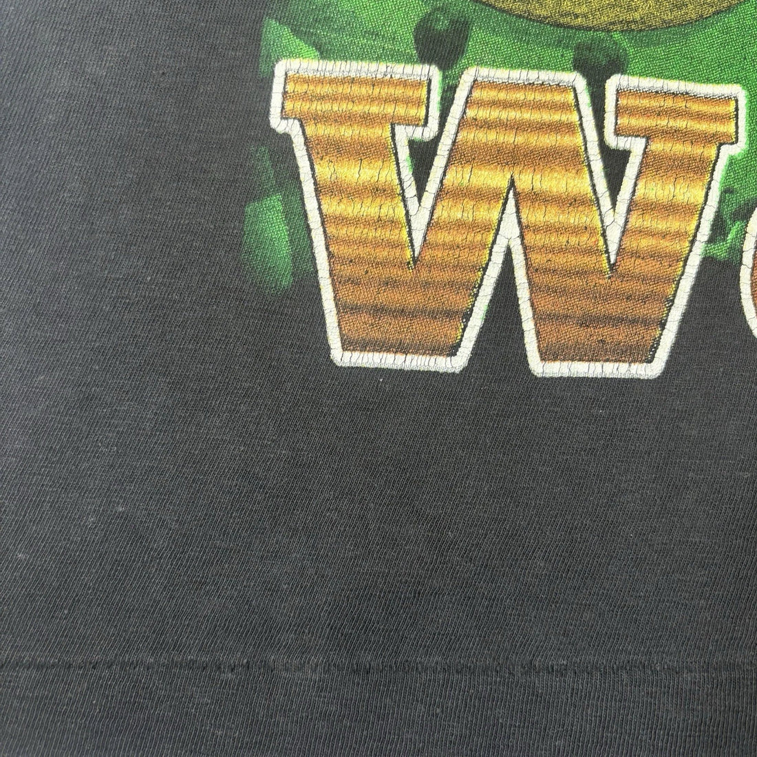 Vintage Tiger Woods The New Masters Golf Rap Tee T-Shirt Size XL 90s