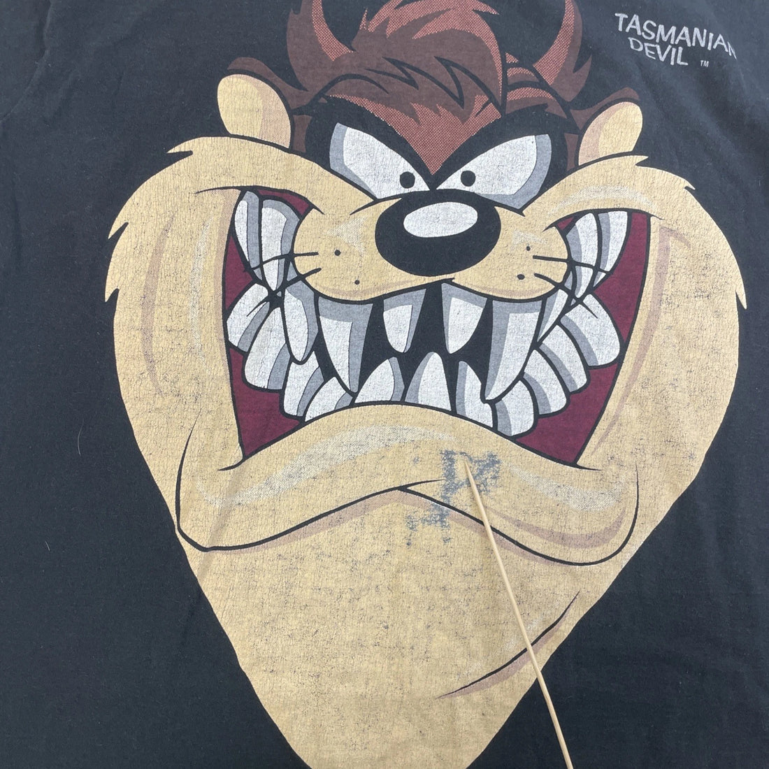 Vintage Taz Looney Tunes Warner Bros T-Shirt Size XL 1993 90s