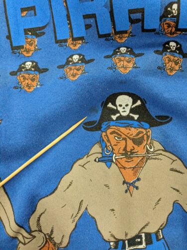 Vintage Hampton Pirates Sweatshirt Crewneck Size XL Blue 90s NCAA