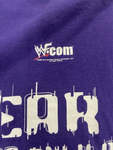 Vintage Hardy Boyz Fear Wrestling T-Shirt Size Large Jeff Matt 2000 WWF