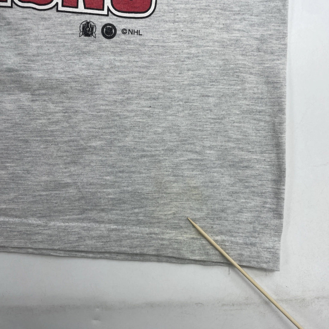 Vintage Detroit Red Wings Stanley Cup Champions T-Shirt Size Large 90s NHL