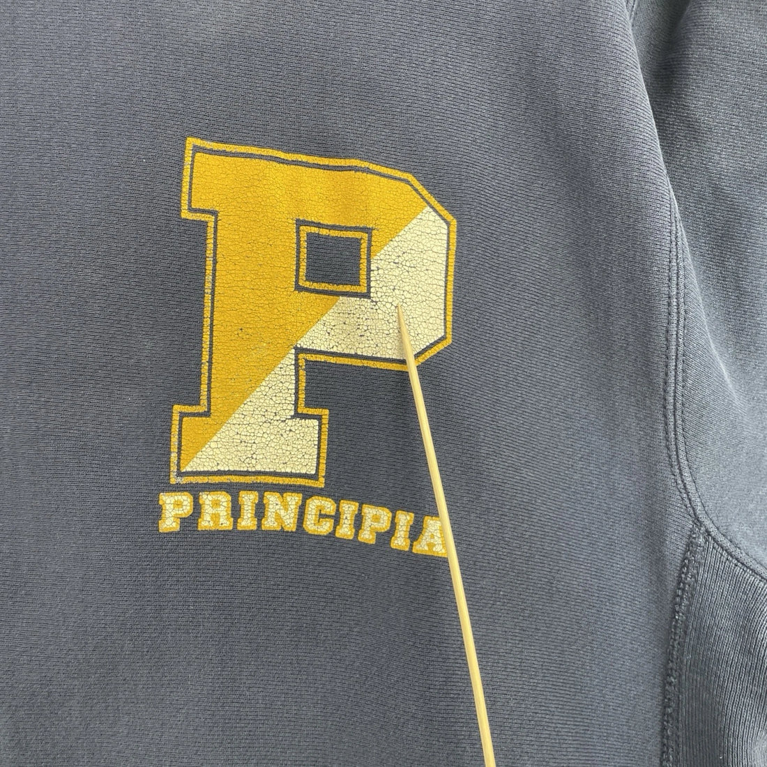 Vintage Principia Crewneck Sweatshirt Size XL 90s