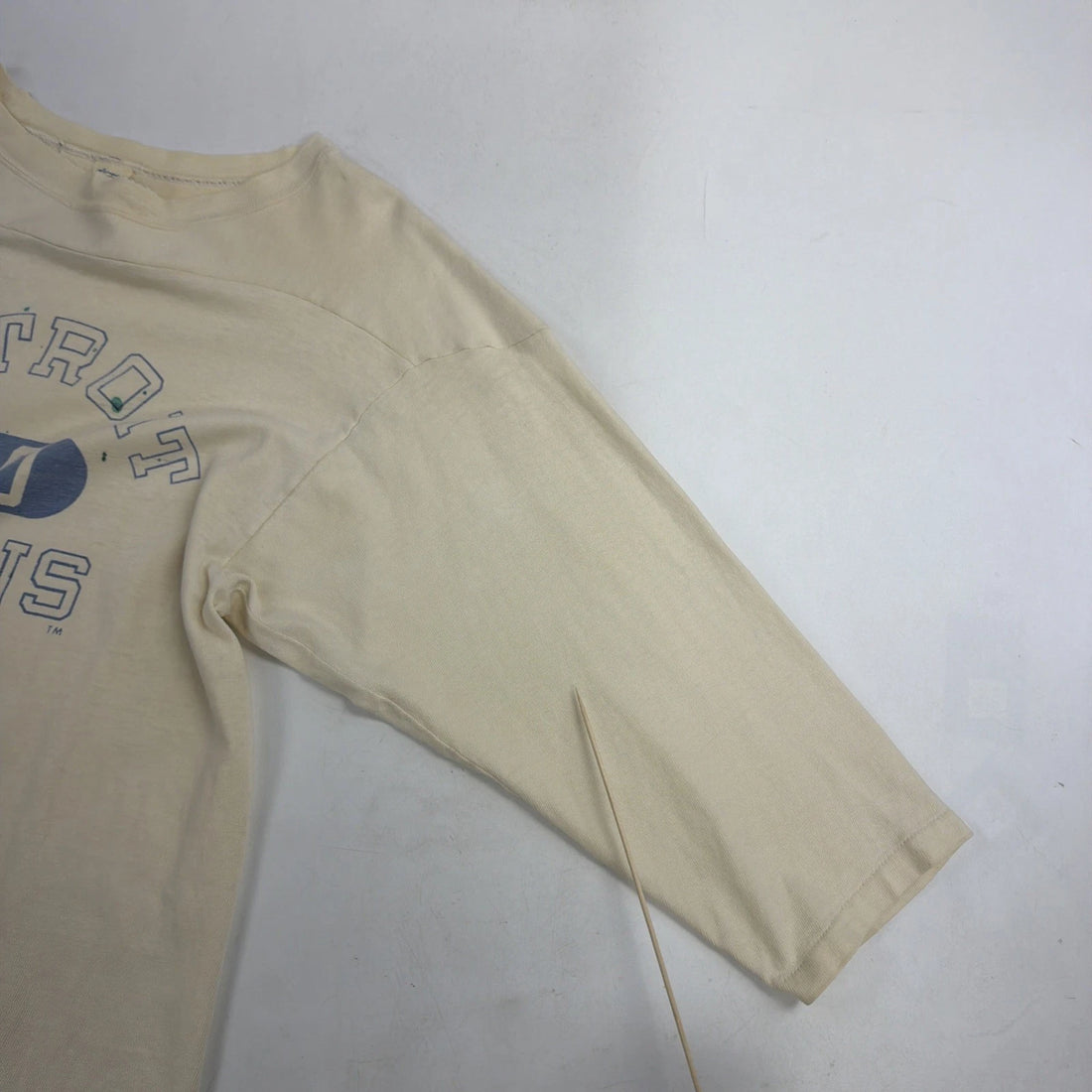 Vintage Detroit Lions Champion T-Shirt Size Large 70s NFL