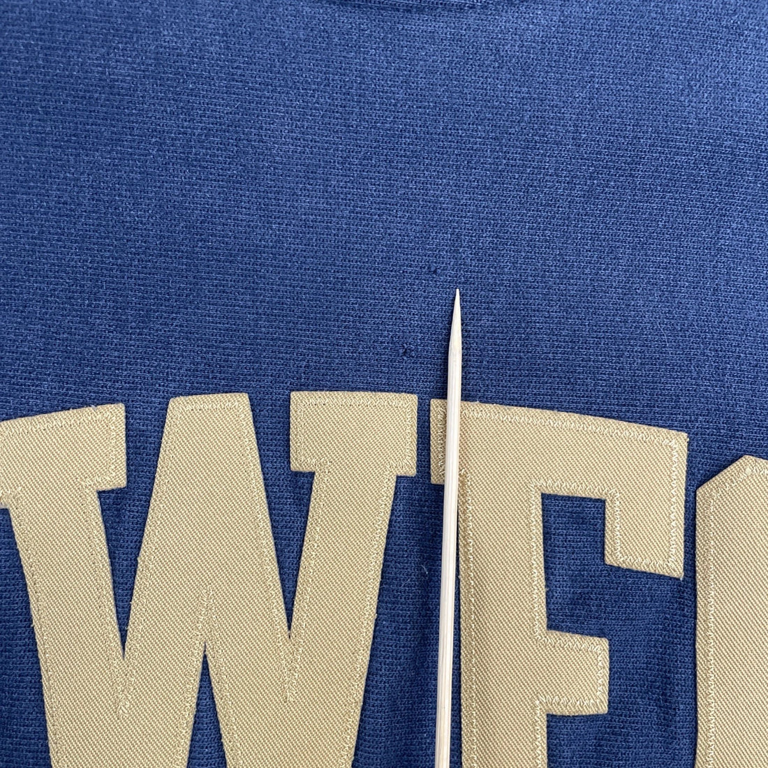 Vintage UWEC Champion Reverse Weave Crewneck Sweatshirt Size Medium