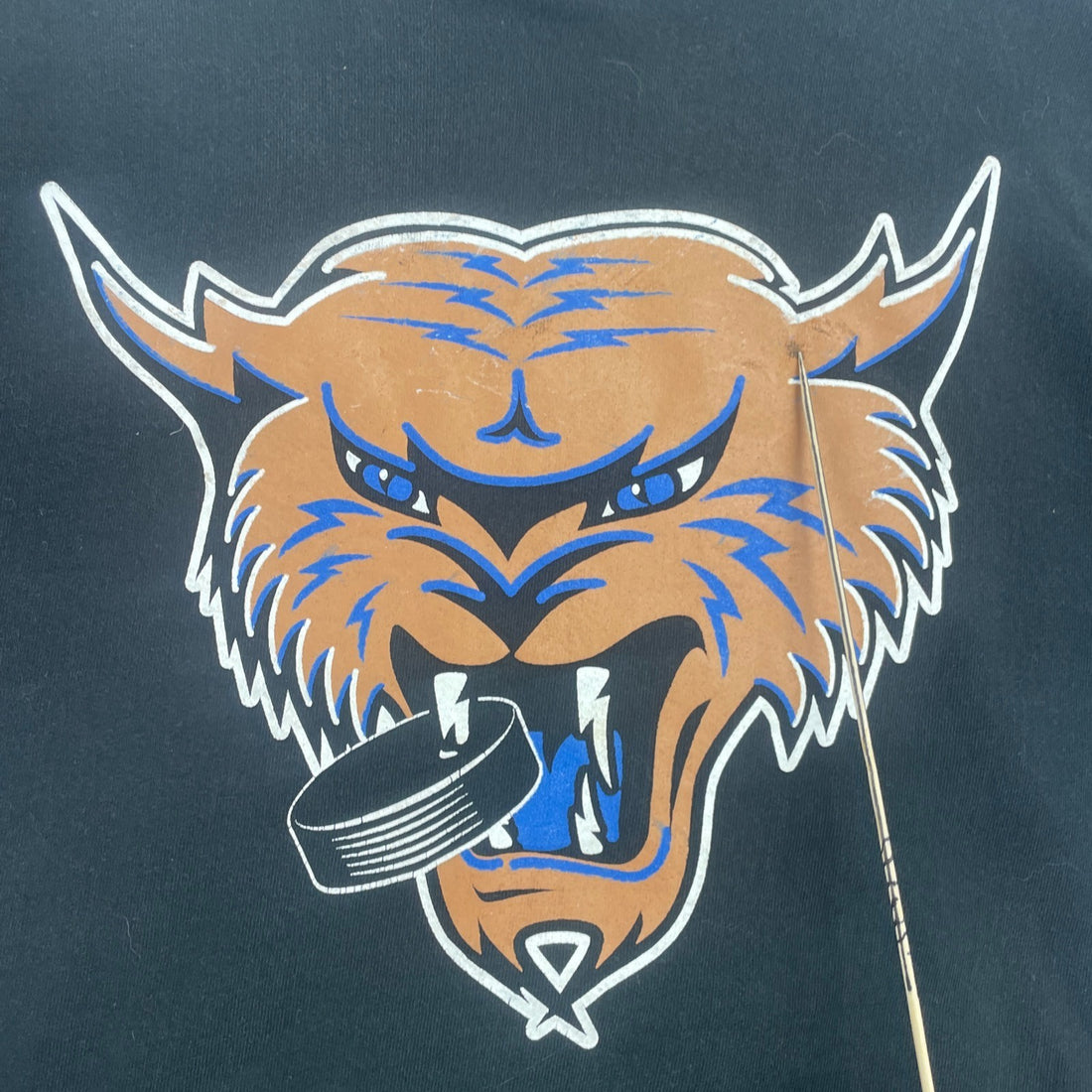 Vintage Thunder Bay Thunder Cats Hockey Crewneck Sweatshirt Size Large UHL