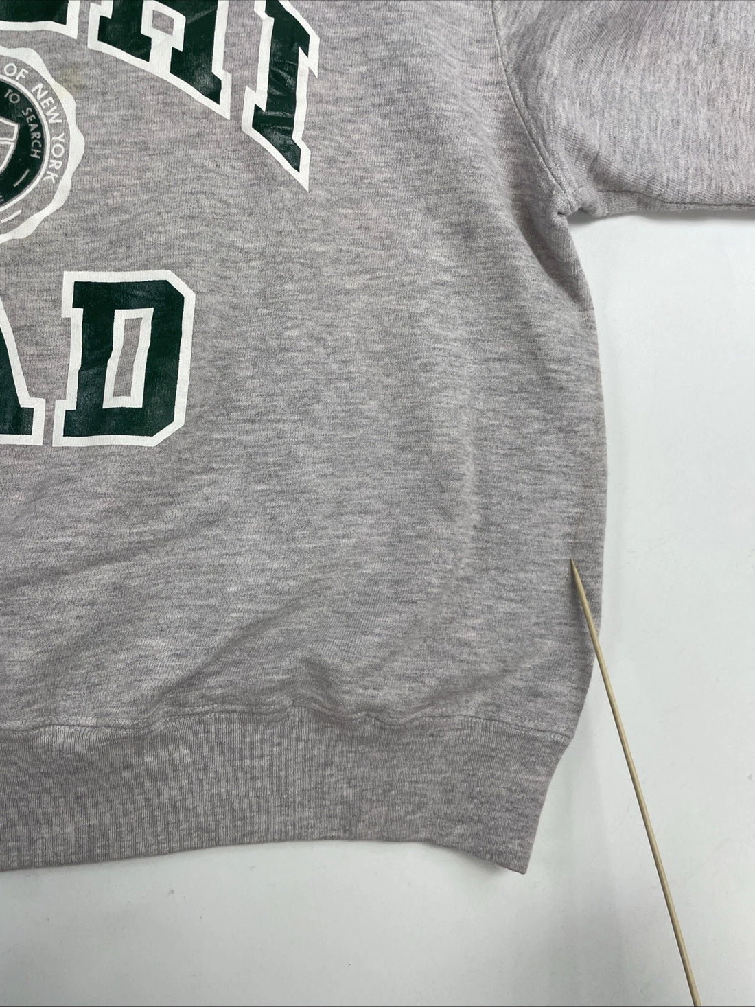 Vintage Delhi Dad Crest Champion Crewneck Sweatshirt Size XL 80s