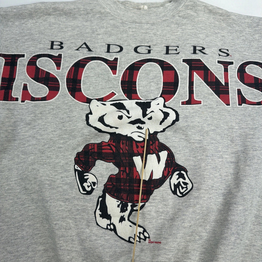 Vintage Wisconsin Badgers Spell Out Sweatshirt Size Large/XL 90s NCAA