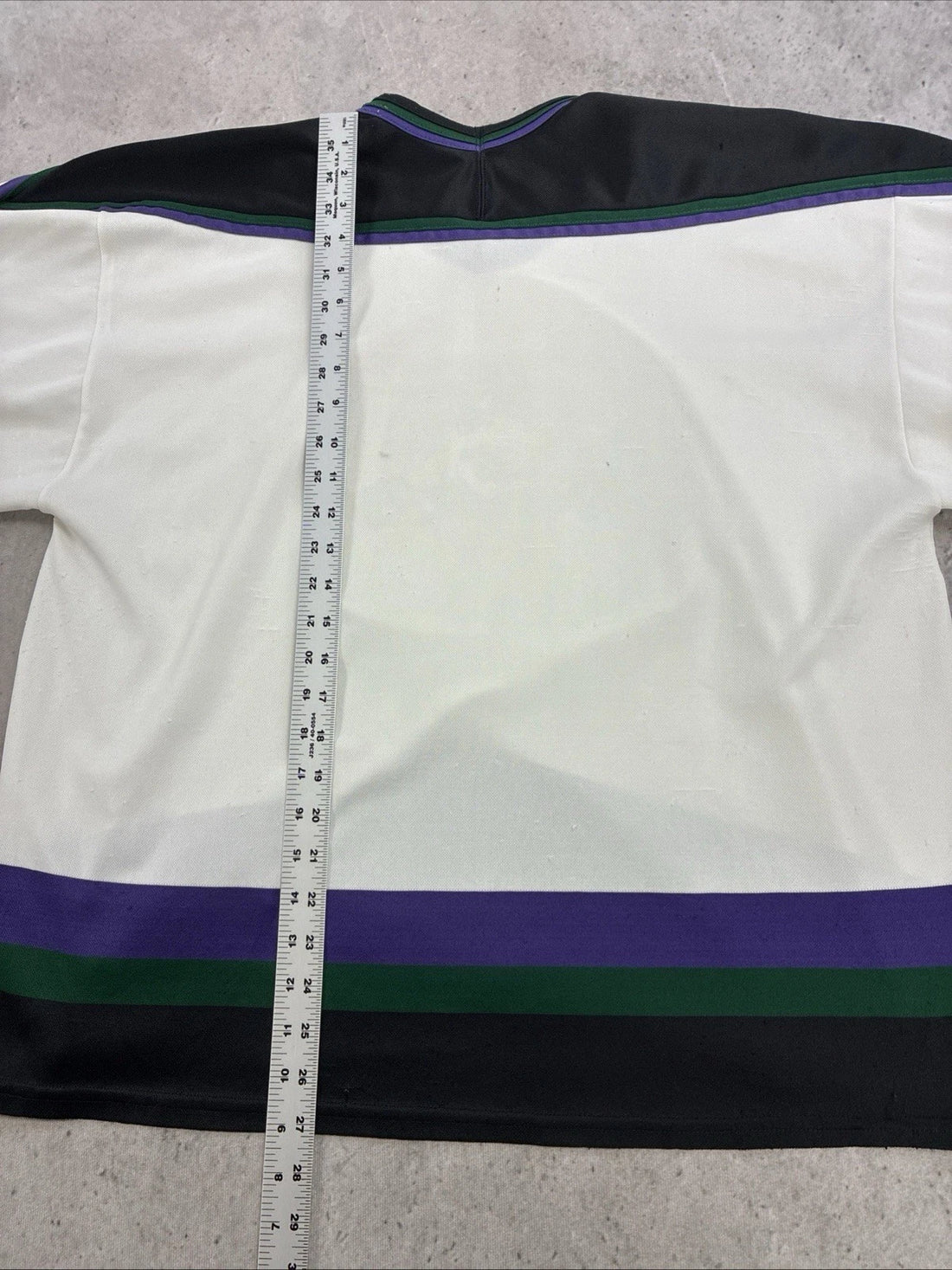 Vintage Minnesota Moose Hockey Jersey Size Large IHL