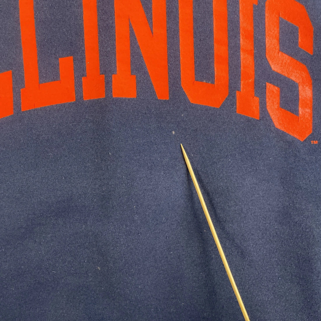 Vintage Illinois Fighting Illini Champion Crewneck Sweatshirt Size XL 90s NCAA