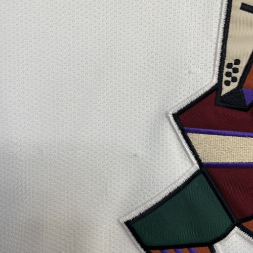 Vintage Phoenix Coyotes Starter Hockey Jersey Size Medium Kachina 90s NHL