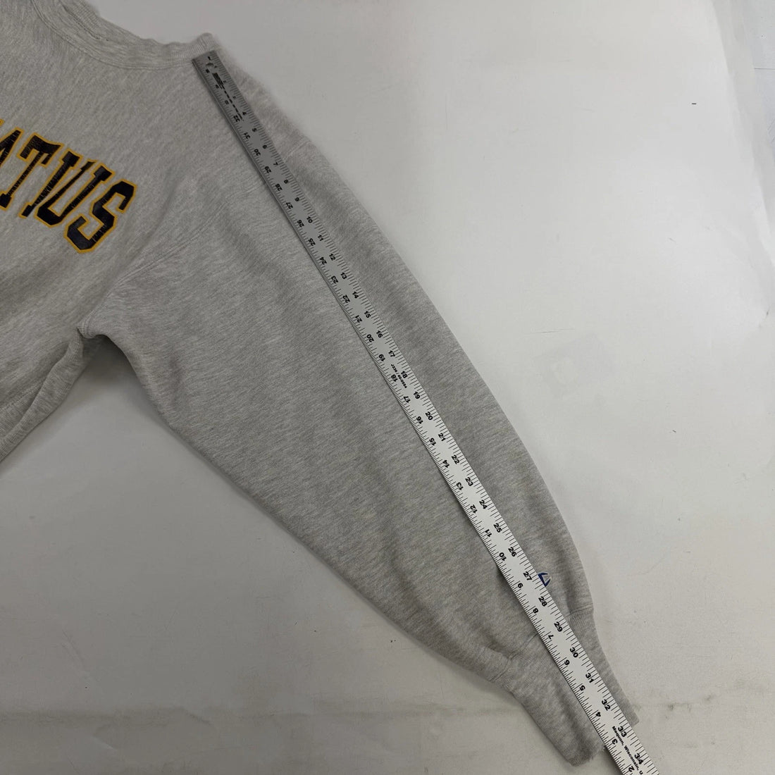 Vintage Ignatius Champion Reverse Weave Crewneck Sweatshirt Size XL