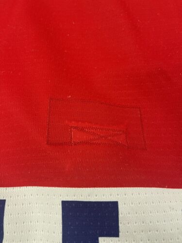 Vintage Czech Republic Authentic National Hockey Team Nike Jersey Size 52 IIHF