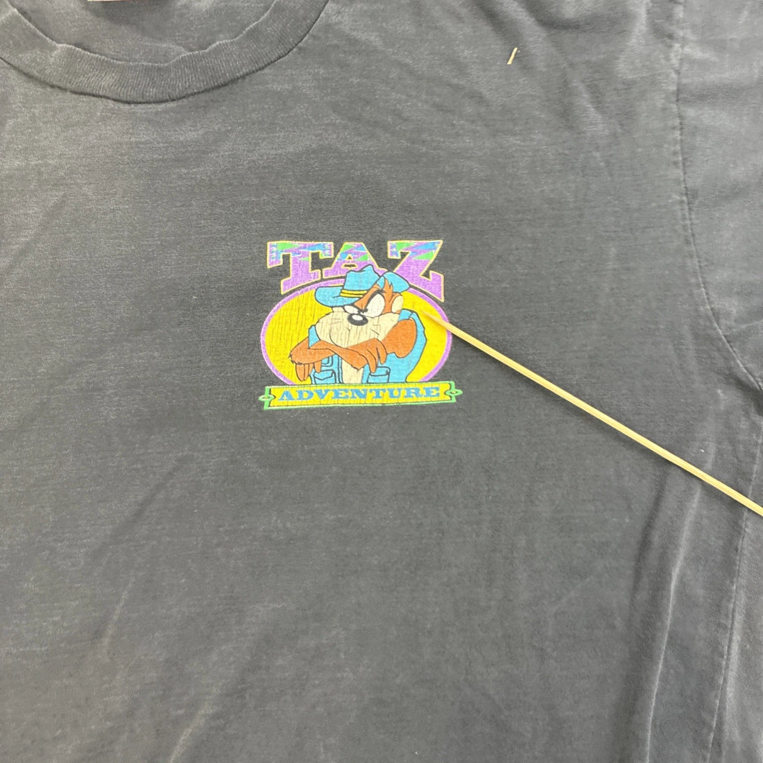 Vintage Taz Adventure Grand Canyon T-Shirt Size Large 1995 90s