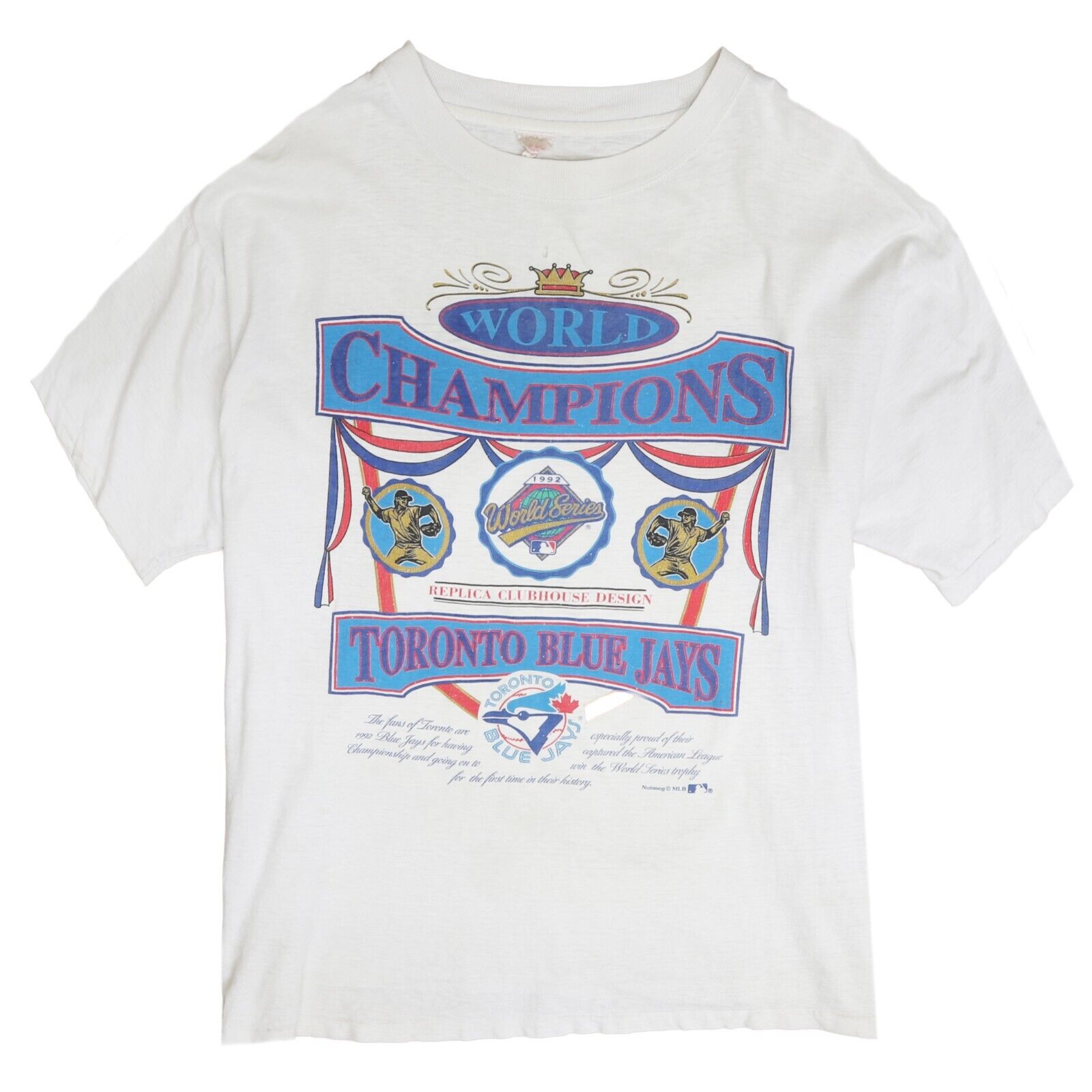 Blue champion t shirt best sale