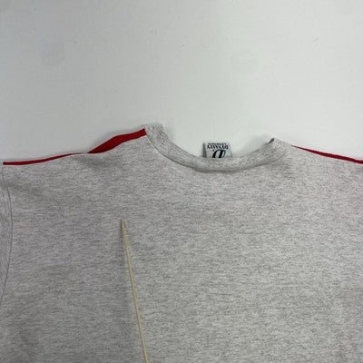 Vintage Detroit Red Wings Stanley Cup Champions Sweatshirt Size 2XL 1998 90s NHL