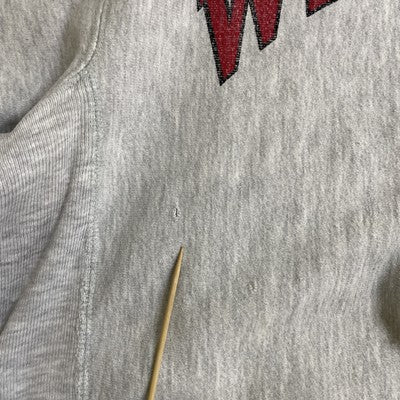Vintage Wesleyan Champion Reverse Weave Crewneck Sweatshirt Large Distressed 90s