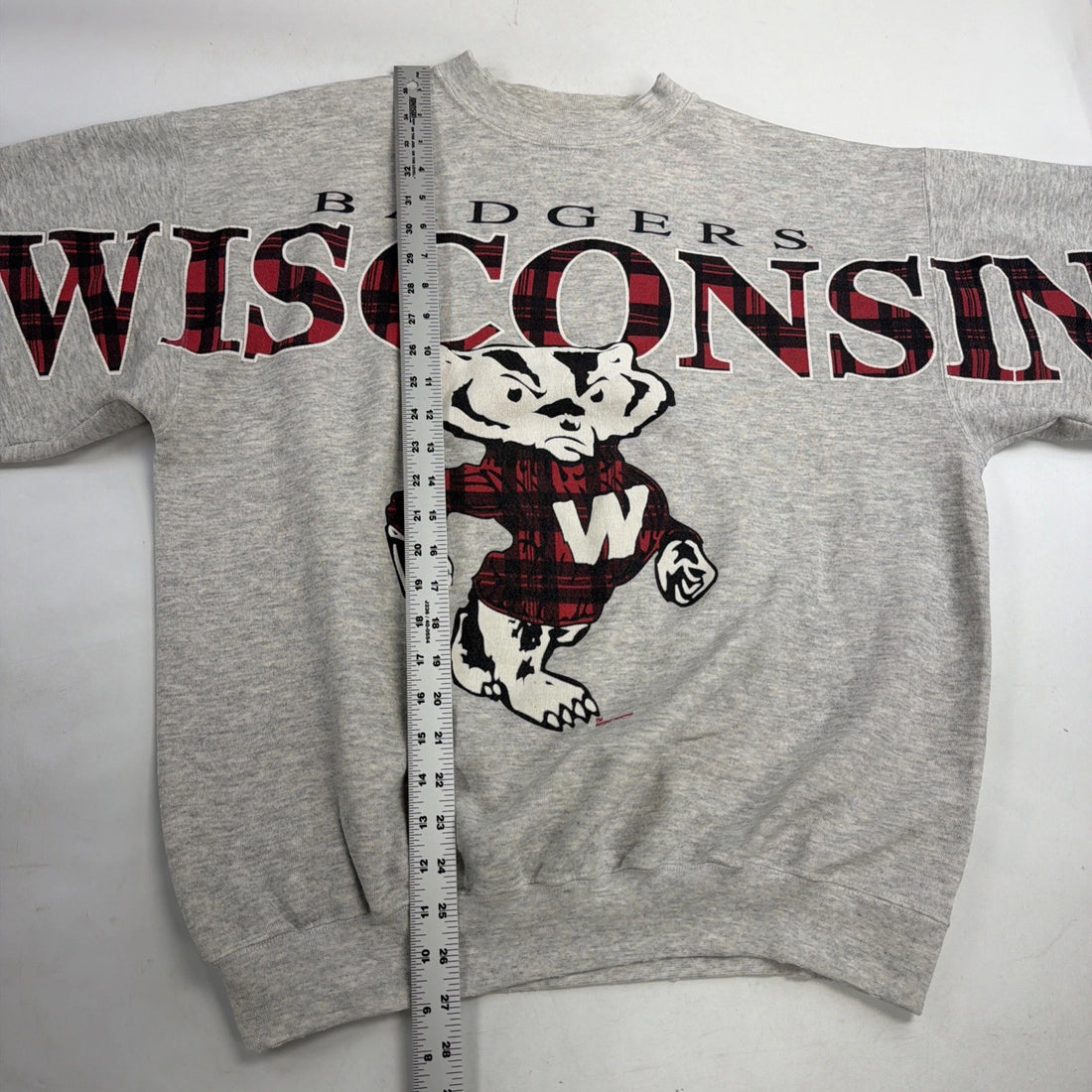 Vintage Wisconsin Badgers Spell Out Sweatshirt Size Large/XL 90s NCAA