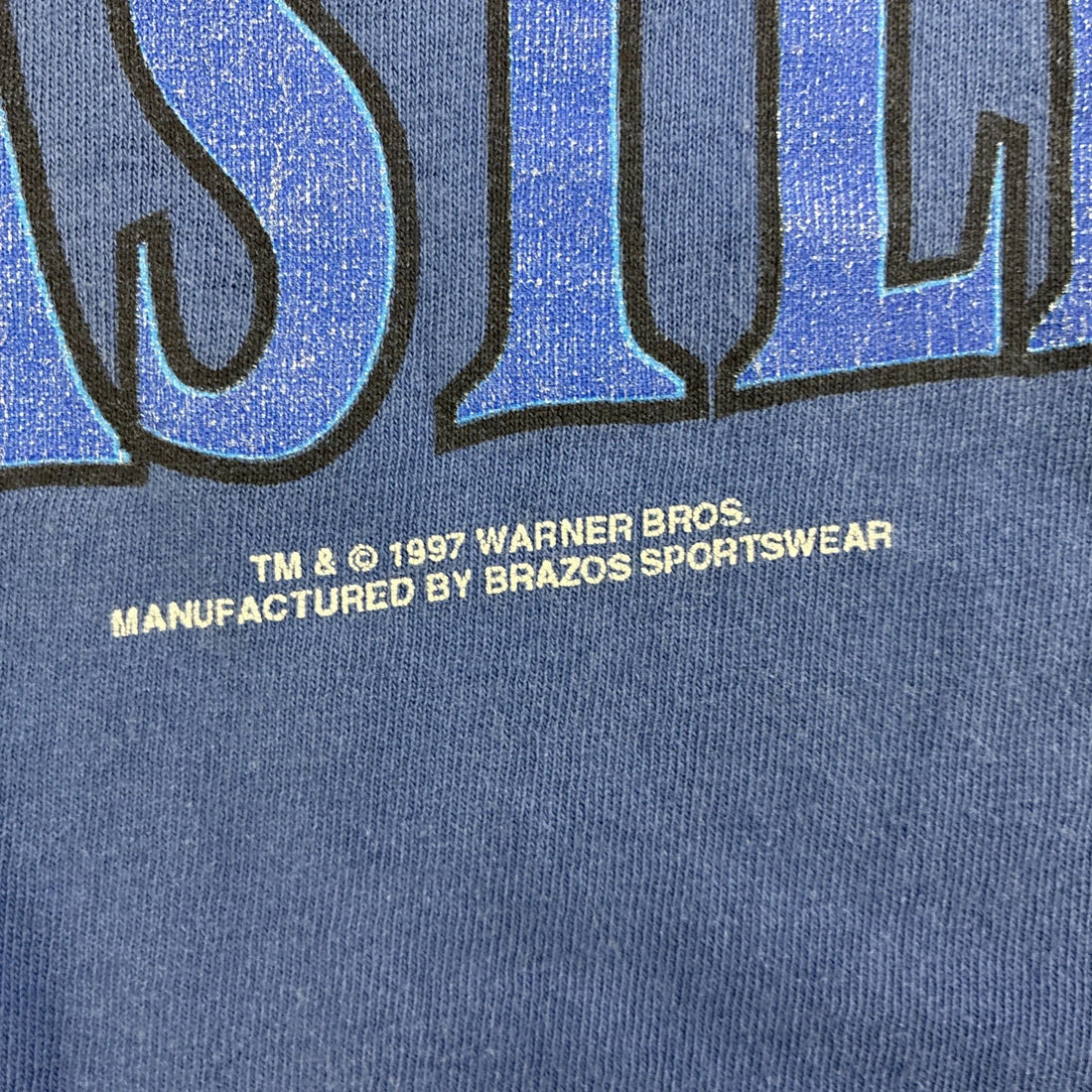 Vintage Taz King Of My Castle Looney Tunes T-Shirt Size XL 1997 90s