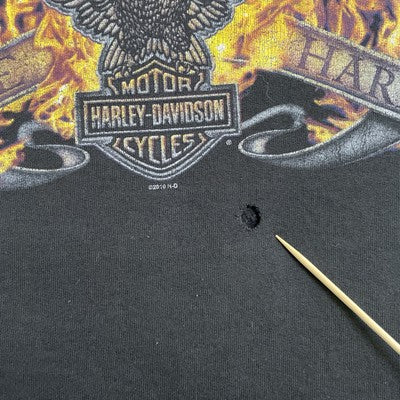 Harley Davidson Motorcycles Fire Eagle Sweatshirt Large Sleeve Spell Out