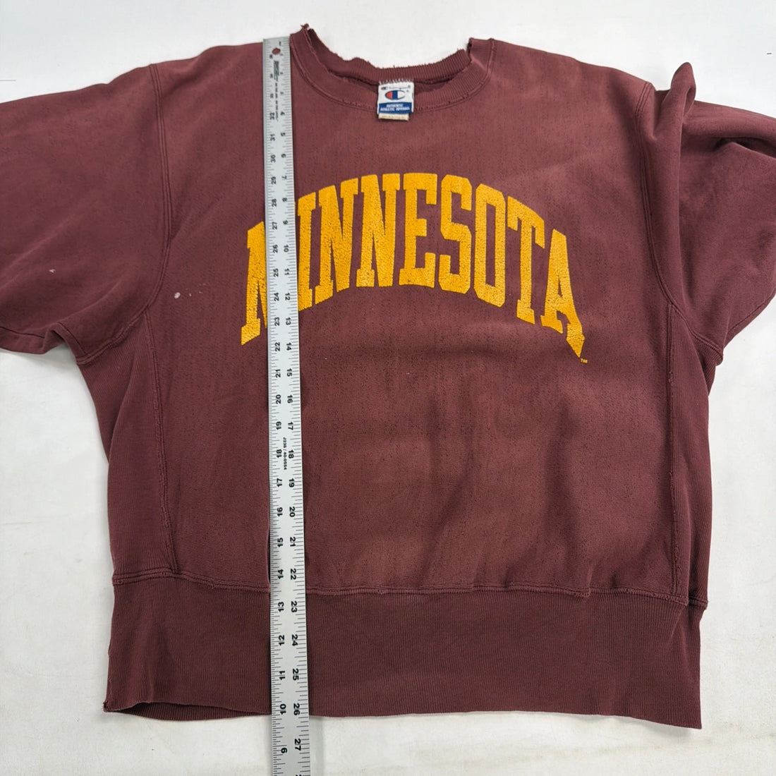 Vintage Minnesota Golden Gophers Champion Crewneck Sweatshirt Large 90s NCAA