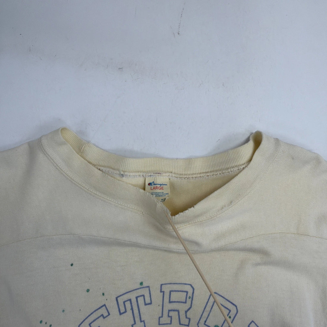 Vintage Detroit Lions Champion T-Shirt Size Large 70s NFL