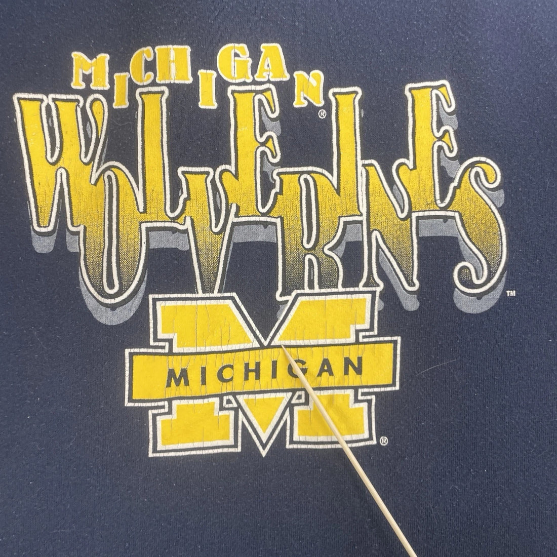 Vintage Michigan Wolverines Sweatshirt Hoodie Size Large NCAA
