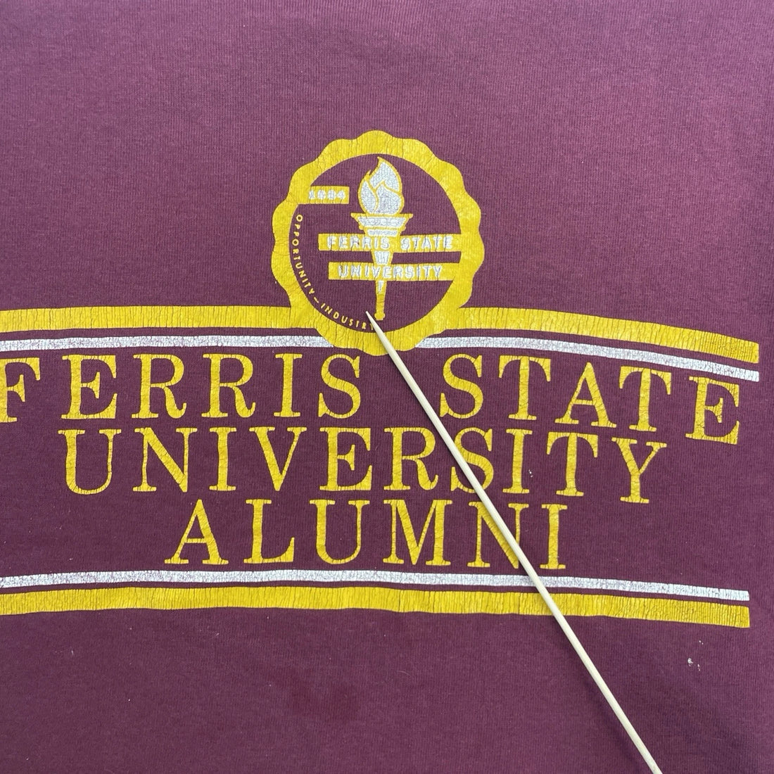 Vintage Ferris State Bulldogs Sweatshirt Crewneck Size Large 90s NCAA