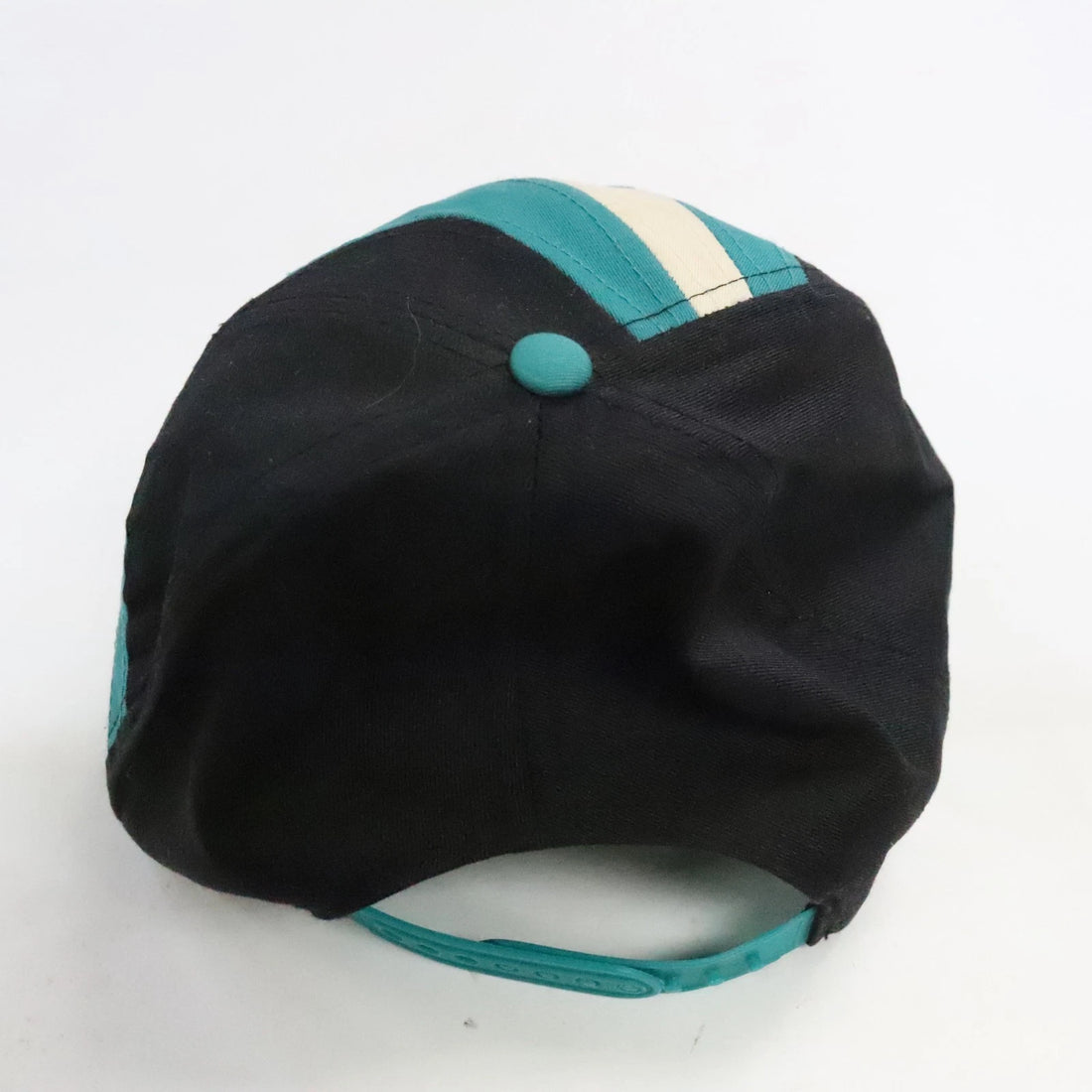 Vintage Worcester Icecats Hockey Twins Enterprise Snapback Hat OSFA AHL