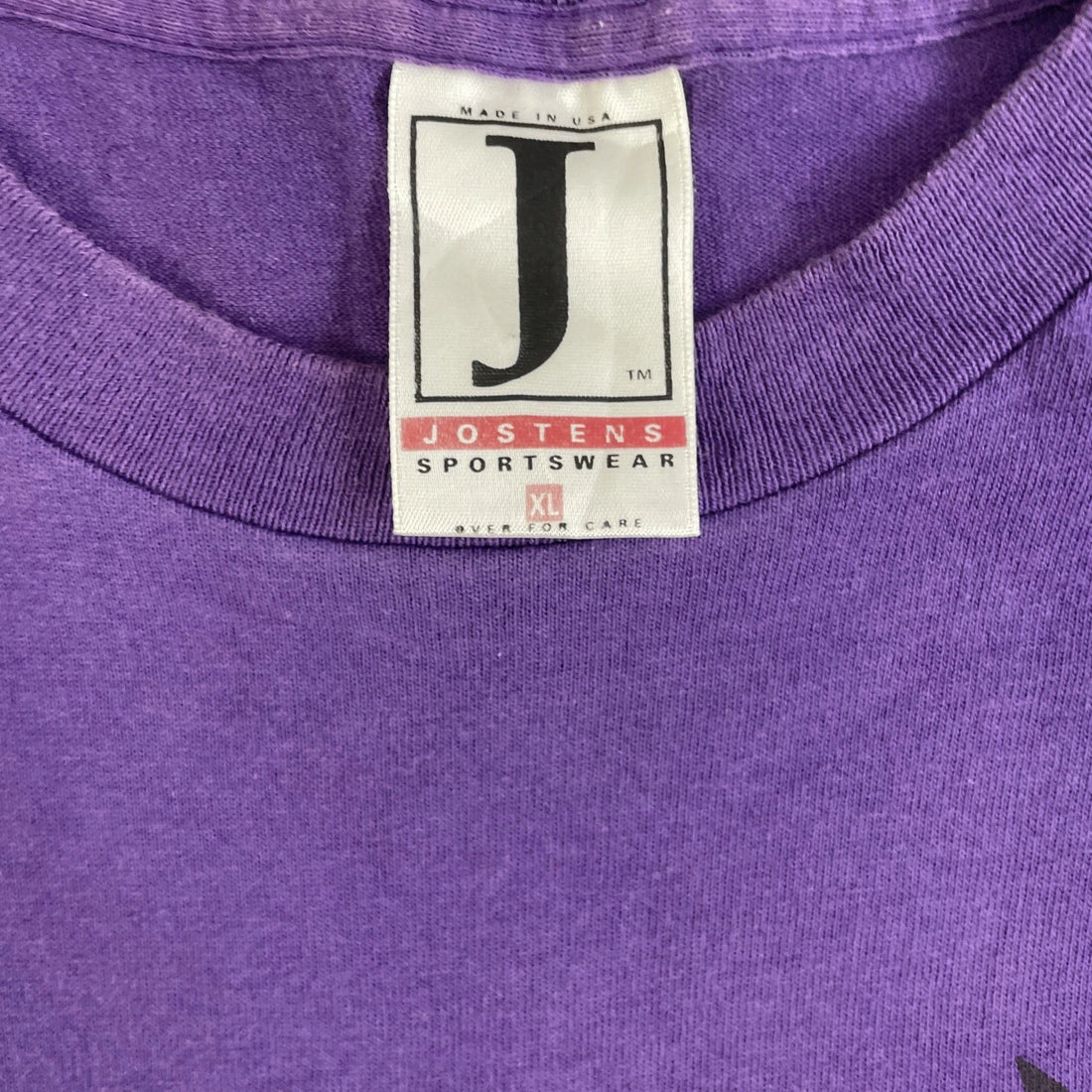 Vintage Taz Minnesota Vikings T-Shirt Size XL 90s NFL