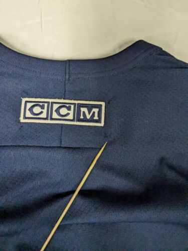 Vintage Edmonton Oilers CCM Hockey Jersey Size Large Blue Alternate Logo NHL