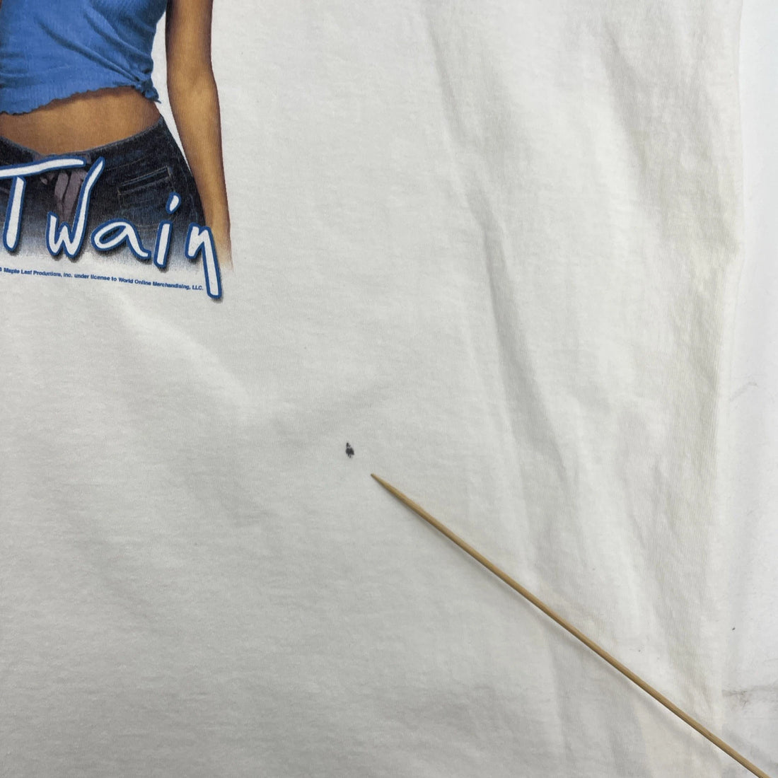 Vintage Shania Twain Up T-Shirt Size 2XL 2003
