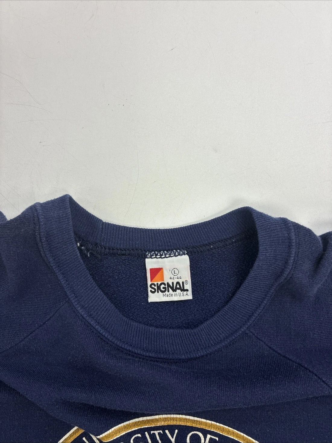 Vintage Health Science Syracuse Collegiate Crewneck Sweatshirt Size Large 90s