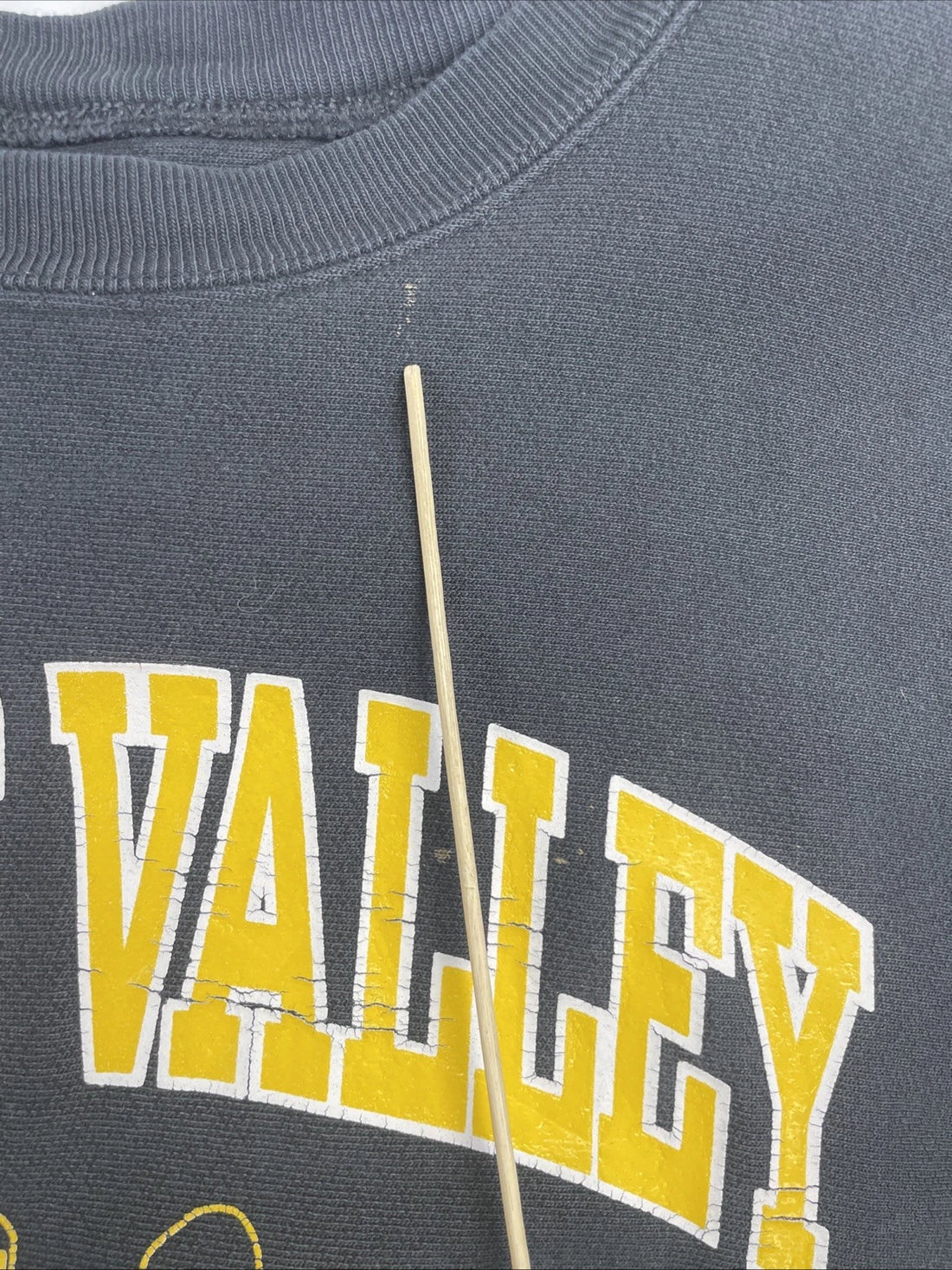 Vintage Apple Valley Wrestling Champion Reverse Weave Sweatshirt Size XL